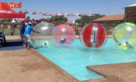 you will favor adventurous zorb ball